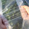 Transparent Rainproof Cloth Cold Proof Windproof Plastic Tarpaulin Multi Functional Protective Cover Suitable for Gardens Terraces Outdoor Adventures
