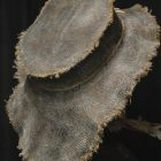 Cross-Border Halloween Scarecrow Horror Mask