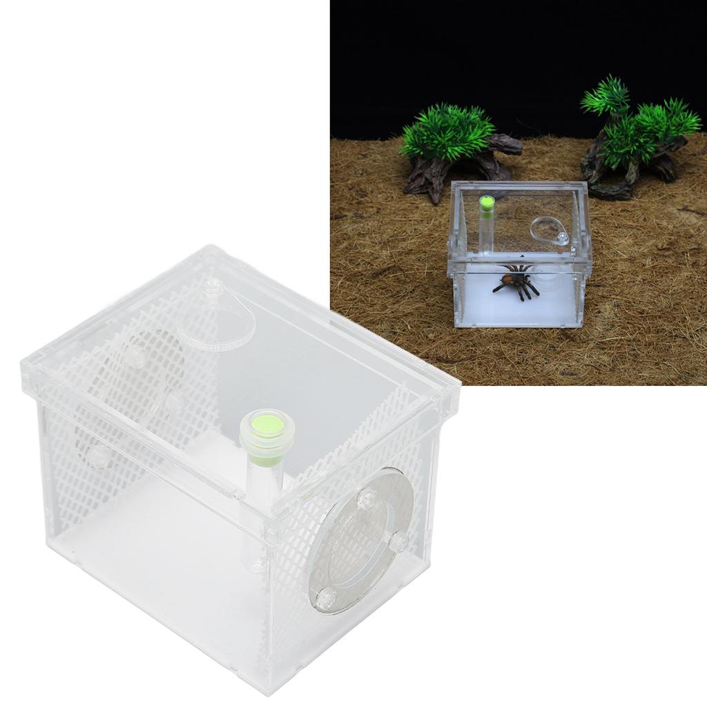 Reptile Insect Enclosure     Acrylic High Transparency Moisturizing Reptile Insect Breeding Box