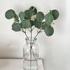 5Pcs Artificial Eucalyptus Leaves with Fruits Realistic Fake Greenery Plants DIY Floral Arrangements Table Centerpiece Decoration