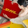 DDHL Hot Express 50th Anniversary Pillow Cushion Cover Pillowcase Living Room Sofa Home Decor Customized