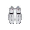 Air Jordan True Flight 'White Cement' 342964-104
