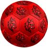 1PC Fox Logo Soccer Ball Size 5 Football Machine Sewn Indoor/Outdoor Universal Football Surprise Collection n96