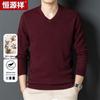 Hengyuanxiang Men's Thick Pure Wool V-Neck Pullover Sweater