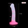 Women Sex Toy Cute Small Jelly Dildos for Beginner Strap Penis Couples/lesbian Anal Plug