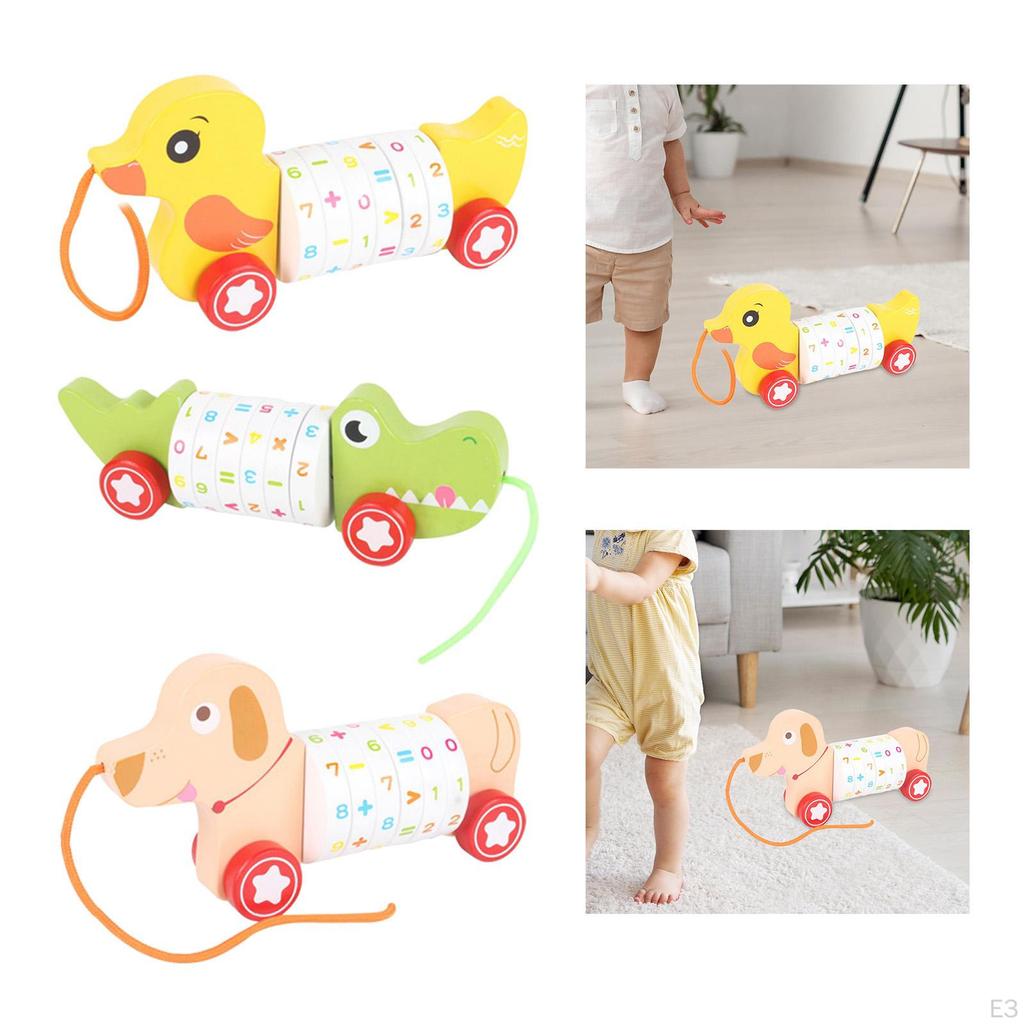 Animal Push and Pull Along Toys, Arithmetic Learning Toy, Toy for Kids Birthday Gifts