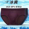 4 PZ Slip a Triangolo Asciugatura Rapida Slip a Triangolo da Uomo Estate Biancheria Intima in Seta di Ghiaccio