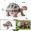 Cross-Border Children's Cognitive Amphibian & Reptile Tortoise Model Fish Tank Ornament Toy