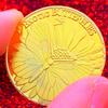 Zahnfee Vergoldete Kinder Schmetterling Goldmünze Gedenkmedaille Zähneknirschen Aufmuntermünze 30mm Mond Baby Gedenkmünze