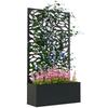 Outdoor Metal Planter, with Back Trellis - Black