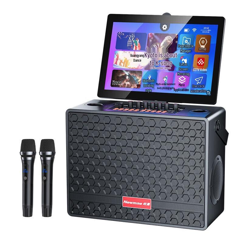 

Newmine D21 Home KTV Karaoke & Instrument Speaker System