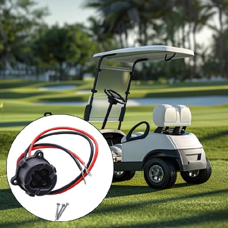 Caricabatterie ad Alta Efficienza 48V per Golf Cart Sistema di Gestione Termica Compatibilità tra Marche Diverse Struttura Ergonomica in Plastica