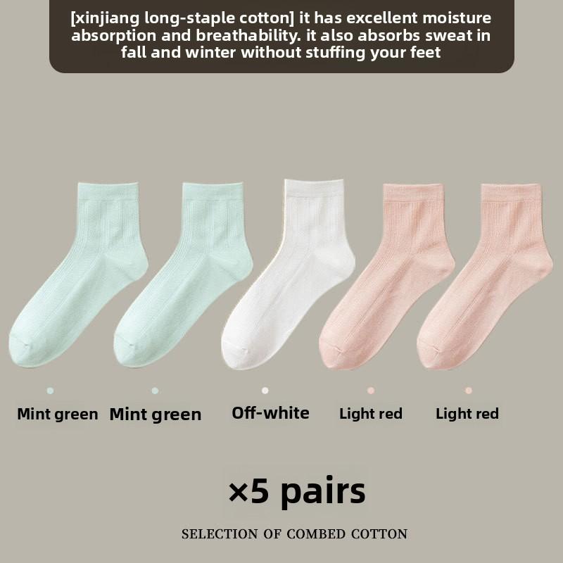 5 Pairs of Women's Summer Thin Style All Match Pure Color Deodorizing Sweat Absorbing Pure Cotton Tube Socks