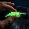 100PCS Luminous Grass Shrimp Lure Soft Grass Shrimp Bait Shrimp Fishing Bait  Freshwater Fishing