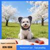 Abbigliamento e scarpe – Cappelli per cani