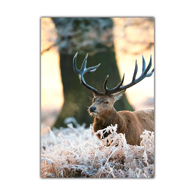 

Снежные пейзажи северной зимы, цветы, деревья, олени, коттеджи, фрески, предметы домашнего декора, ландшафтные постеры и печатные материалы 21*30cm No Frame