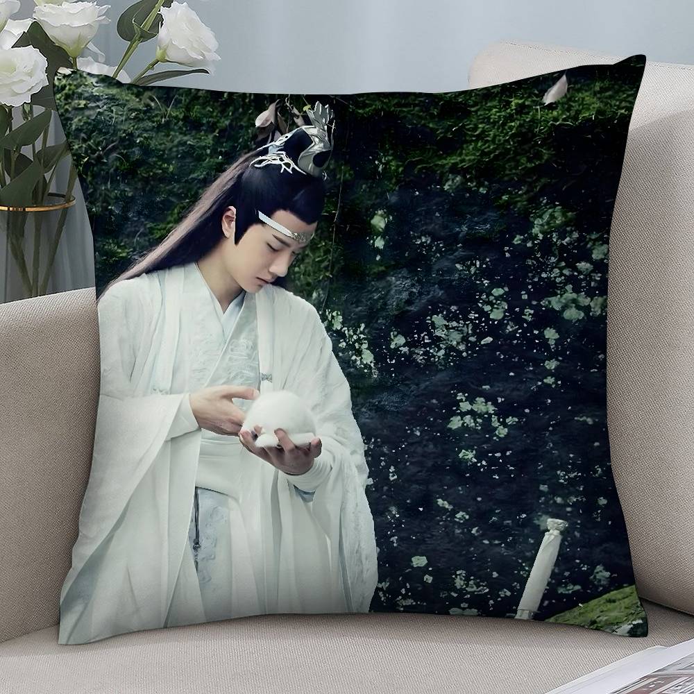 W-Wang Yibo Pillow Case Short Plush Sofa Decorative Gift Home Double-sided Printing Cushion