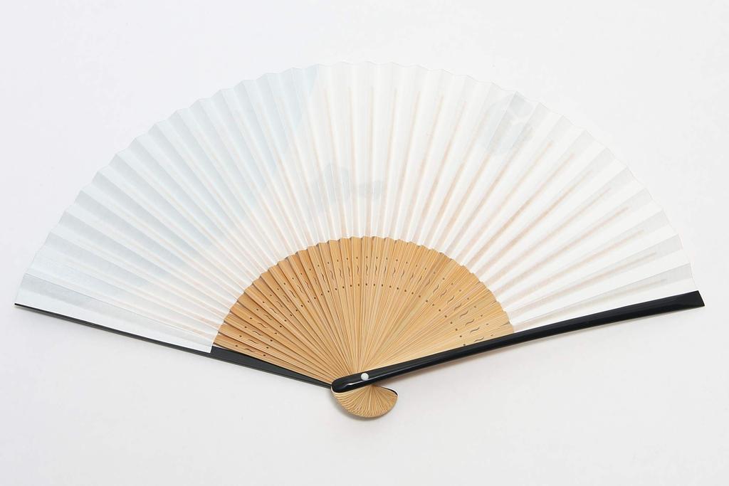 Folding Fan with Fan Gift Box Made In Japan [Hasegawa] Women's Case, Included, (Black Cat)