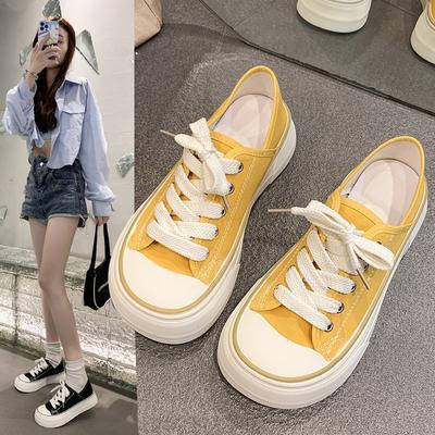 Estate nuove scarpe bianche con fondo morbido traspirante scarpe da donna stringate a testa grande da donna scarpe di tela casual a due vie da donna