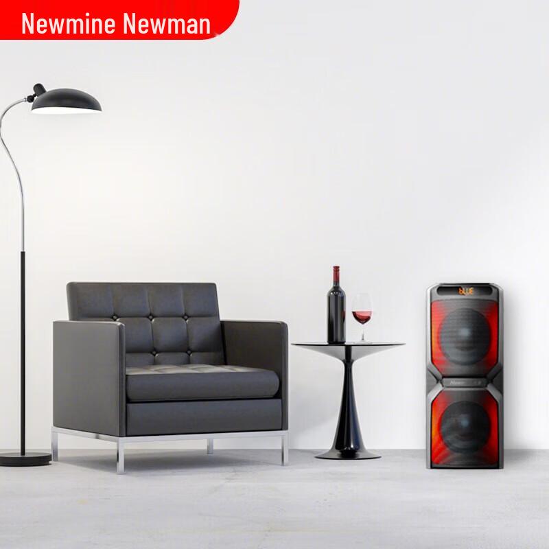 Newmine A2 High-Power Outdoor Karaoke Bluetooth Speaker with Dual Microphones CN plug (adapter included)
