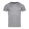 Stedman Mens Active 140 Team Raglan T-Shirt