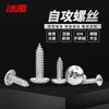 Bingyu BY-459 304 Stainless Steel Cross Recessed Big Flat Head Self-tapping Screws
