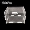 Springspinnen Acryl Vitrinen Reptilien Terrarium Käfig Box Acryl Spinnen Gehege für Vogelspinne
