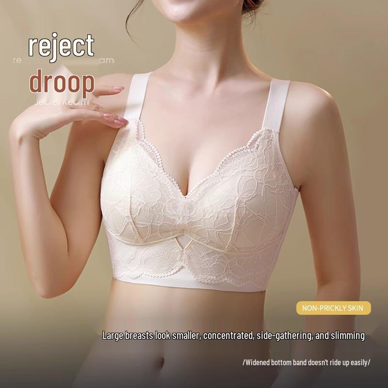 Plus Size Adjustable Push-Up Bra for Large Busts: Side Support, Posture Correcting, Anti-Sagging, Minimizing Design.