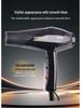 9869 Salon-Quality High Power Hair Dryer with Constant Temperature & Dual Air Modes