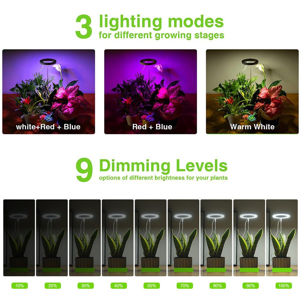 Ground-plugged Plant Light Timable Dimmable Angel Ring Full Spectrum Imitation Sunlight Succulent