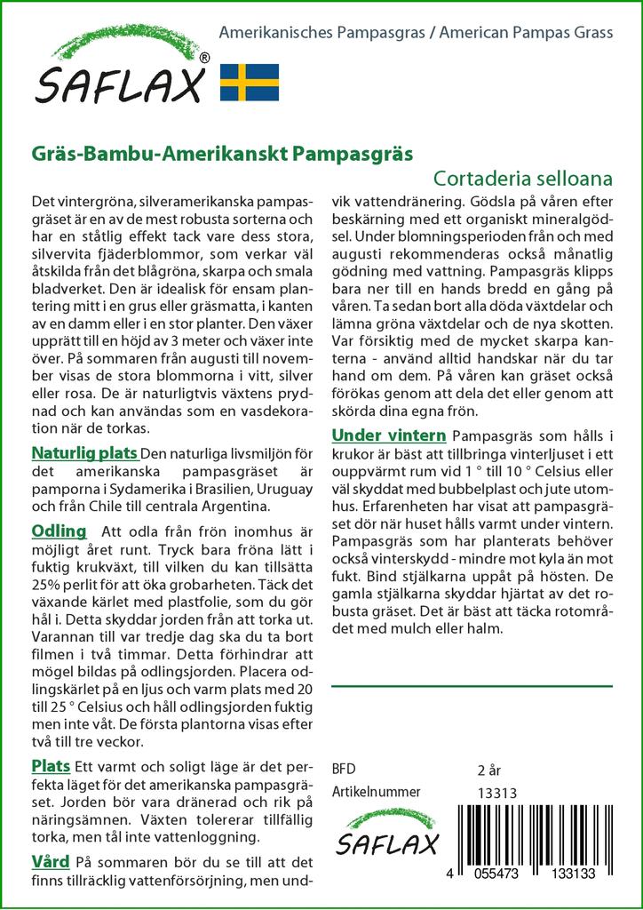 SAFLAX Erba della Pampa Americana - 200 semi - Cortaderia selloana
