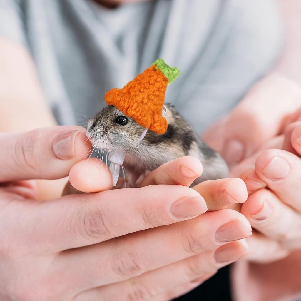 4 Pieces Hamster Hat Mini Small Animals Hat with Adjustable Strap Lovely Hand Knitted Frog Rainbow Carrot Tiny Hats for Lizard Guinea Pig Reptile