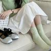 5 Pairs of Female Spring and Autumn Fashion New Vertical Thin Tube Stack Socks