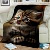 Roztomilá kočka kaliko, kočka Garfield, perská kočka, kreslená deka Ragdoll, měkká deka pro domácí ložnici přikrývka na pohovku pro děti