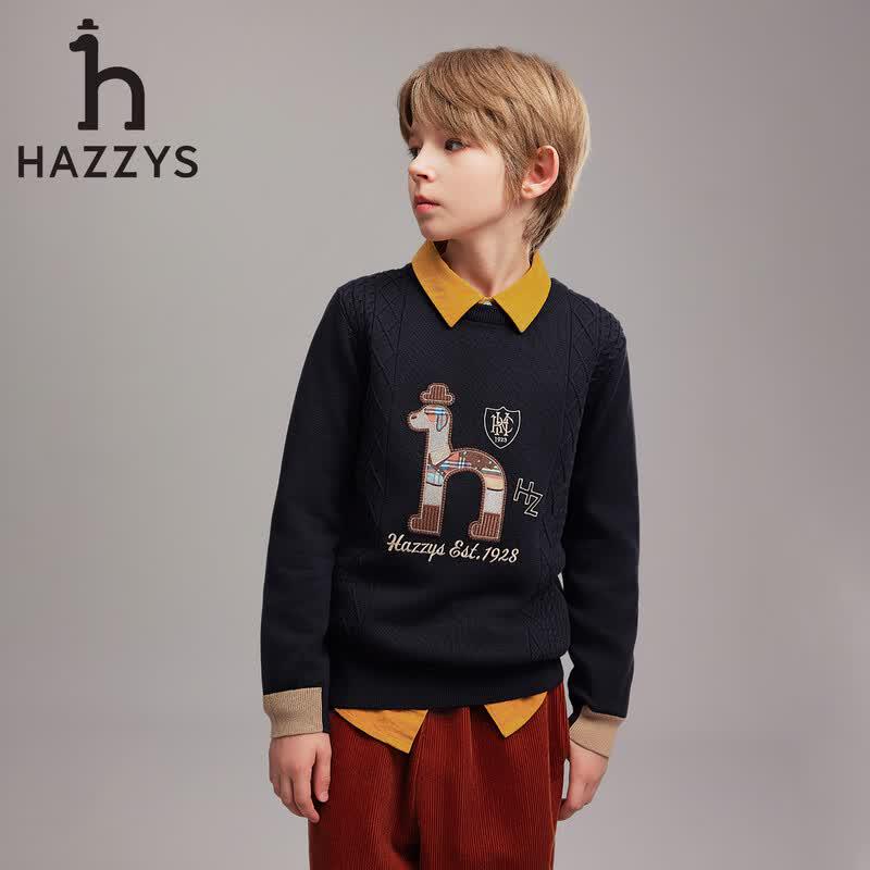 Hazzys Boys' Round Neck Pullover Sweater
