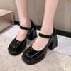 Ins~ Thick Heel Mary Jane Shoes Women's Round Head 2025 Summer Casual Japanese Soft Girl Jk Uniform Small Leather Shoes High Heels