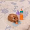 5-Inch Silicone Reborn Hamster Doll with Implanted Hair - Cute Miniature Animal in Blue Sea Theme