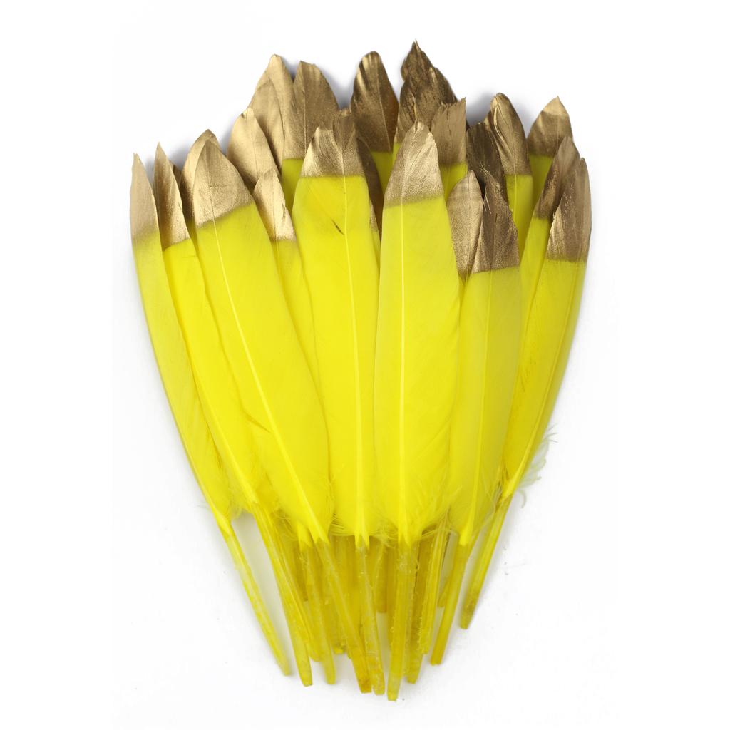 FeatherYellow Feathers for Crafts, 31 Styles Natural Pheasant, Rooster, Duck Feathers Bulk for Costume DIY, Fly Tying,Party Decoration