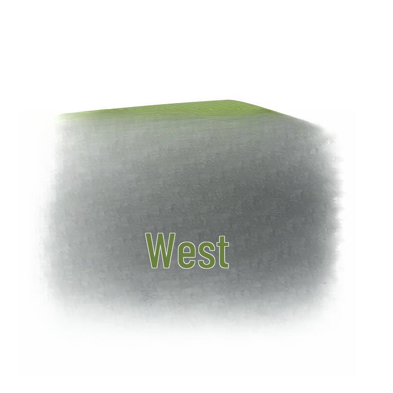 Compact Portable Folding Stool for Outdoor and Indoor Use