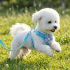 Small Dog Harness and Leash Set - Vest-Style for Teddy, Bichon, and Other Small Breeds