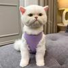 Pet Cat Sterilization Clothing Breathable Menstrual Pants Anti-licking Harassment Clothes Cat Supplies