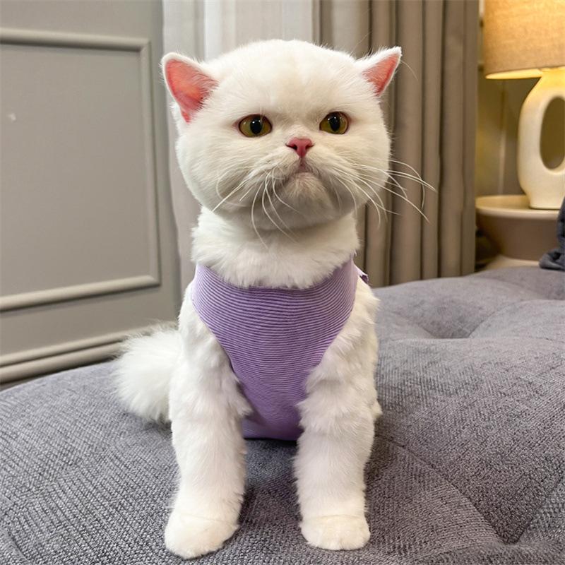 Pet Cat Sterilization Clothing Breathable Menstrual Pants Anti-licking Harassment Clothes Cat Supplies