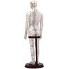 52cm Acupuncture Model 360 Degree Rotatable Arms Acupoint Body Model for Student Teaching Demonstration White Men