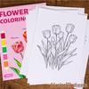 Datura Adult Coloring Book: Stress Relief Art Therapy - Loose Leaf Edition