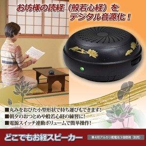 Anywhere Sutra Speaker with Automatic Repeat Playback, Battery Operated, Switch-Linked Volume, and Strap Included [Ships in Mail Order Packaging]