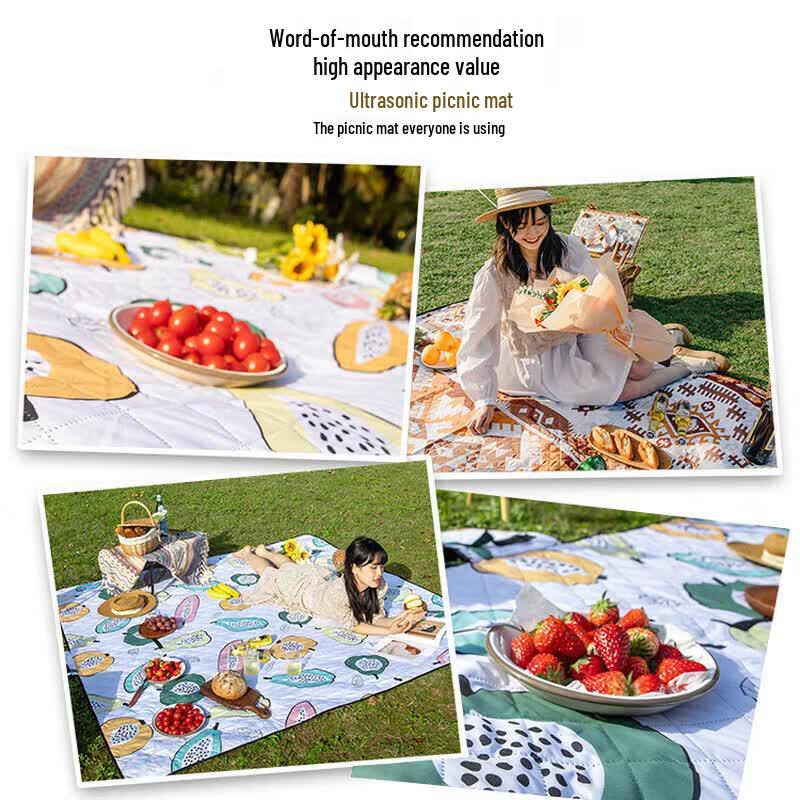 Explorer Ultrasonic Outdoor Picnic Mat