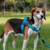 Reinforced Stitching Pet Body Harness No Pull Dog Harness, Adjustable Nylon Vest with Handle, Breathable Ergonomic Chest Protector for Walking