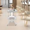 2-Tier Mobile Beauty Hairdressing Cart, Stainless Steel Rolling Utility Organizer for Salon Styling Supplies, 11lbs Capacity
