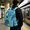Cat Backpack Carrier Foldable Breathable Mesh Backpack for Small Medium Cats and Dogs