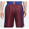 Nike Colorblock Basketball Shorts Men Shorts Red Brown BV9293-681